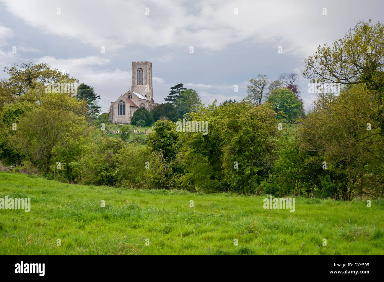 Morley hill hires stock photography and images Alamy