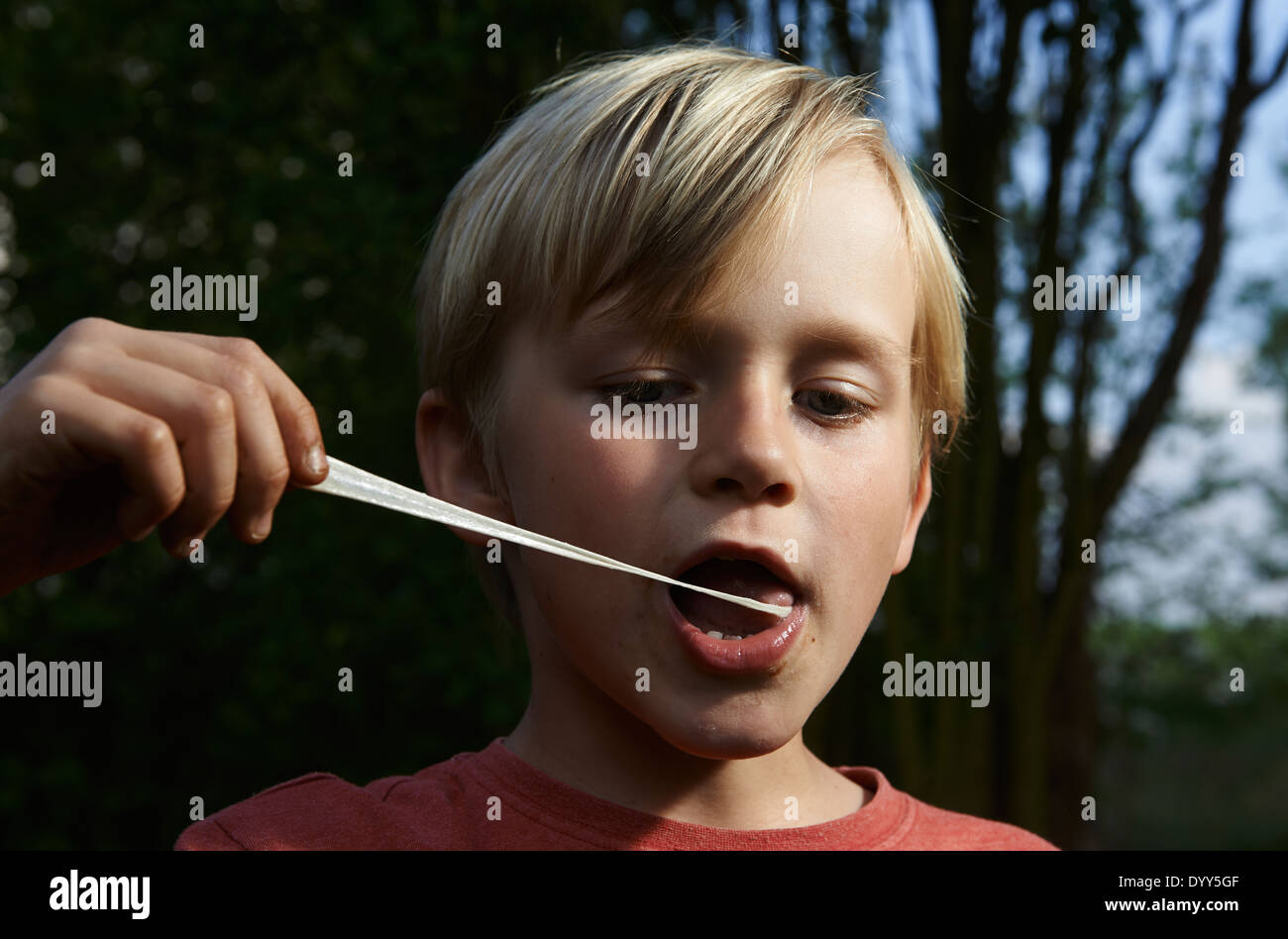 Stretching Bubble Gum High Resolution Stock Photography and Images - Alamy