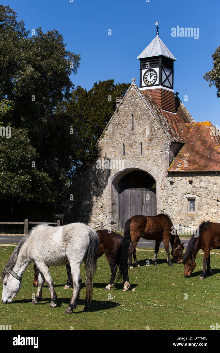 New Forest ponies grazing on Beaulieu village common. Entrance to Beaulieu house in background. Stock Photo