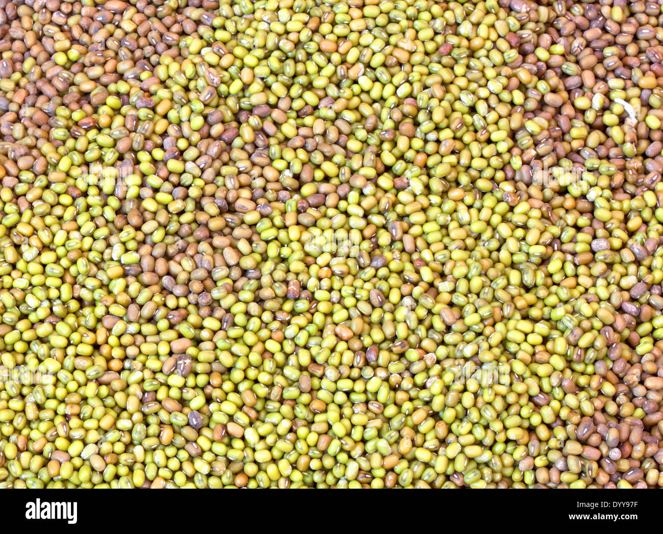 Green mung beans hi-res stock photography and images - Alamy