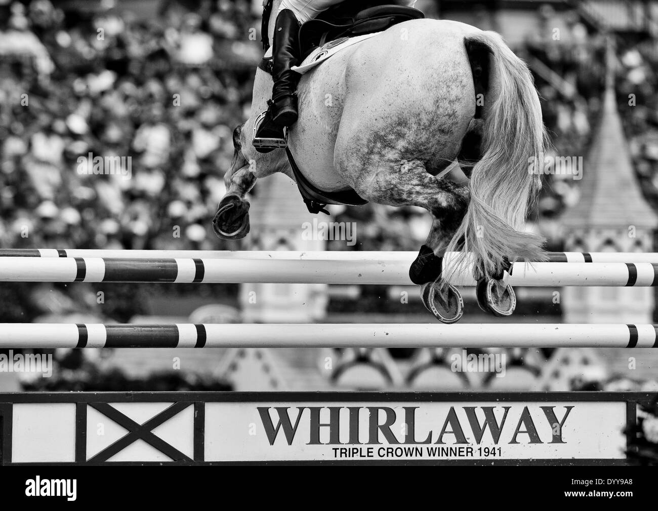 Lexington, MD, USA. 27th Apr, 2014. April 27, 2014: AVEBURY, ridden by Andrew Nicholson (NZL), competes in the Stadium Jumping Finals at the Rolex Kentucky 3-Day Event at the Kentucky Horse Park in Lexington, KY. Scott Serio/ESW/CSM/Alamy Live News Stock Photo