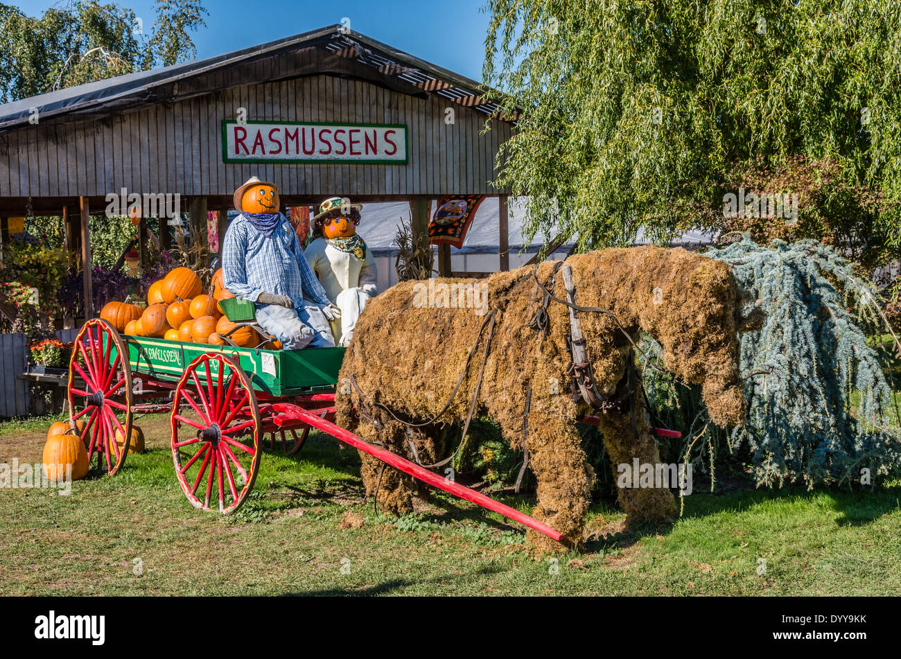 Scarecrows and displays of pumpkins at a farm fall festival.  Hood River, Oregon Stock Photo