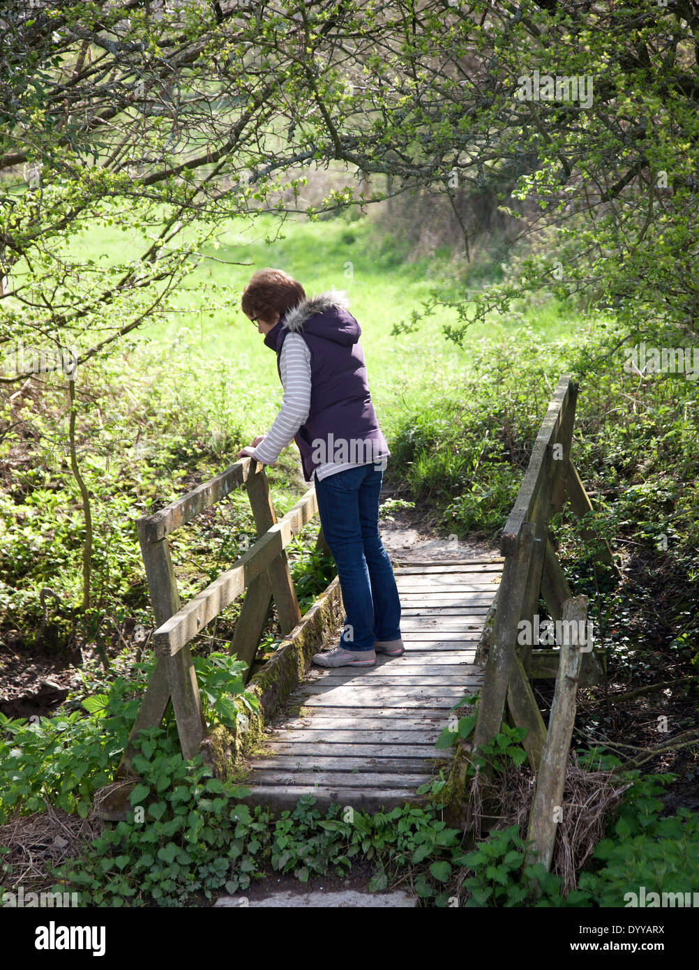 Mature Lady walking in early Spring countryside Stock Photo