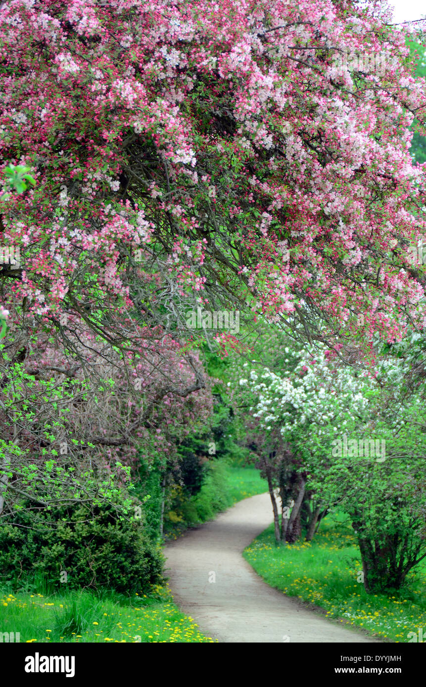 silent path in springtime Stock Photo
