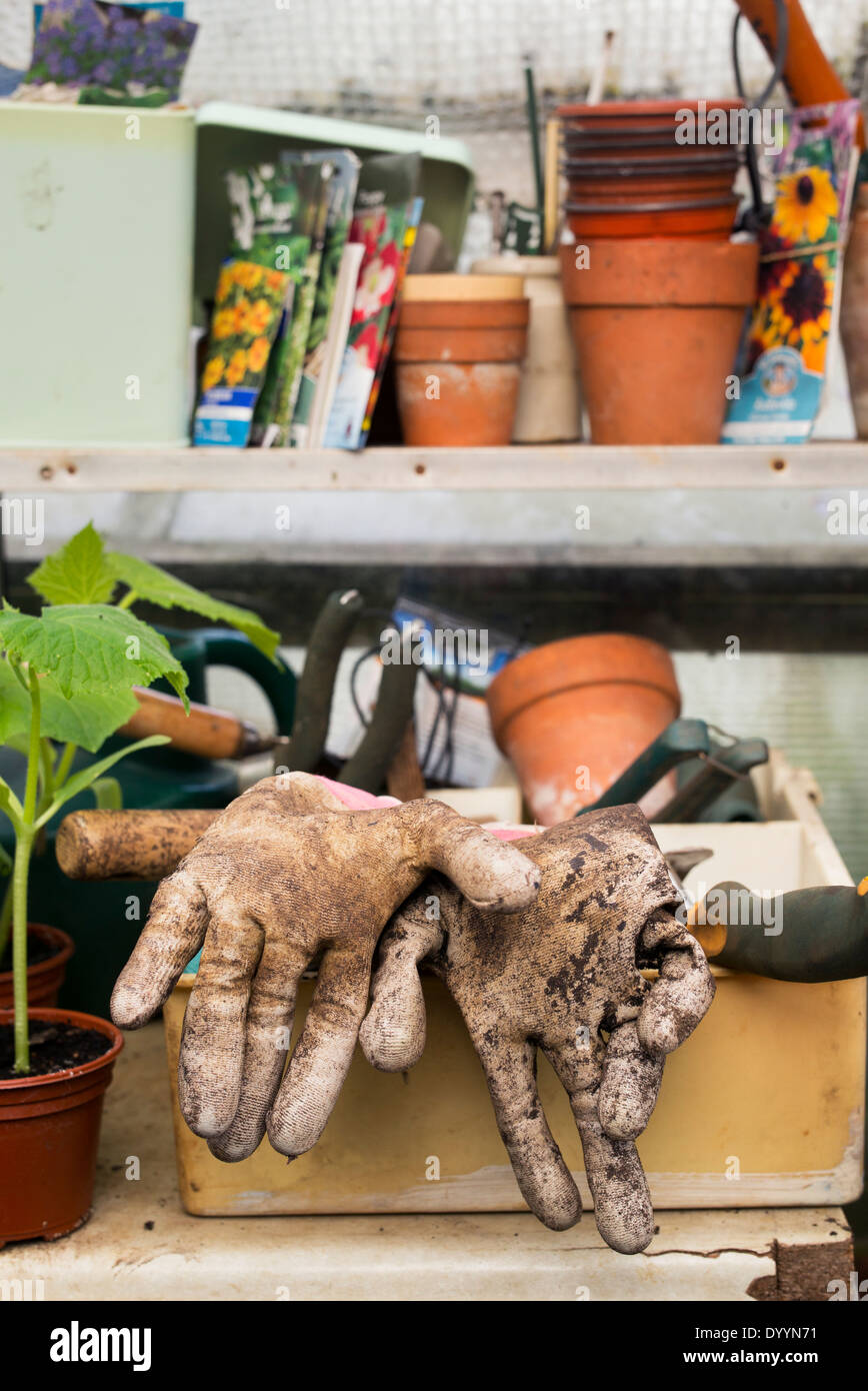Gardeners work bench in a Greenhouse Stock Photo