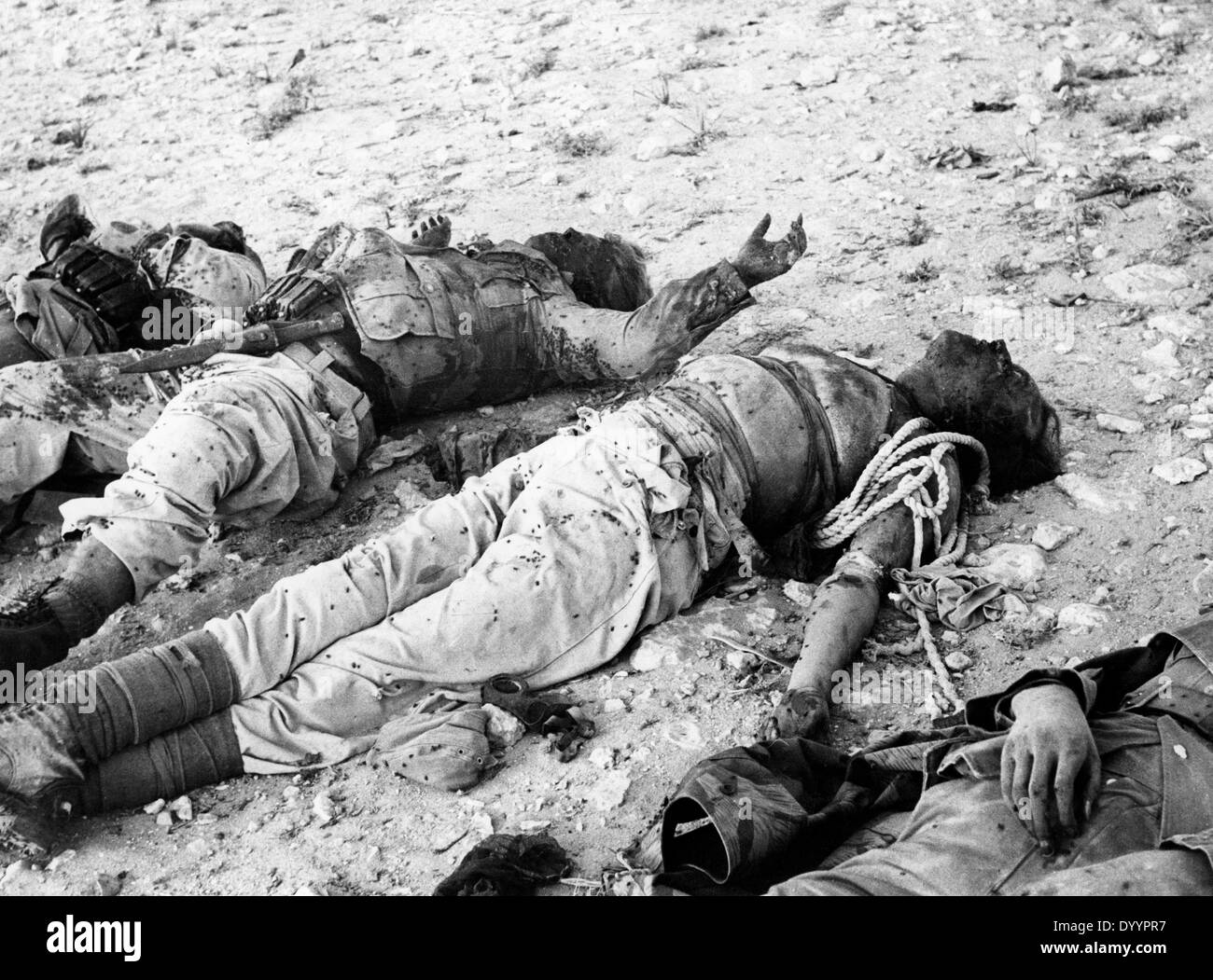 Fights at the Egyptian border area near El Alamein, 1942 Killed German soldiers of the Afrika Korps at El Alamein, 1942 Stock Photo