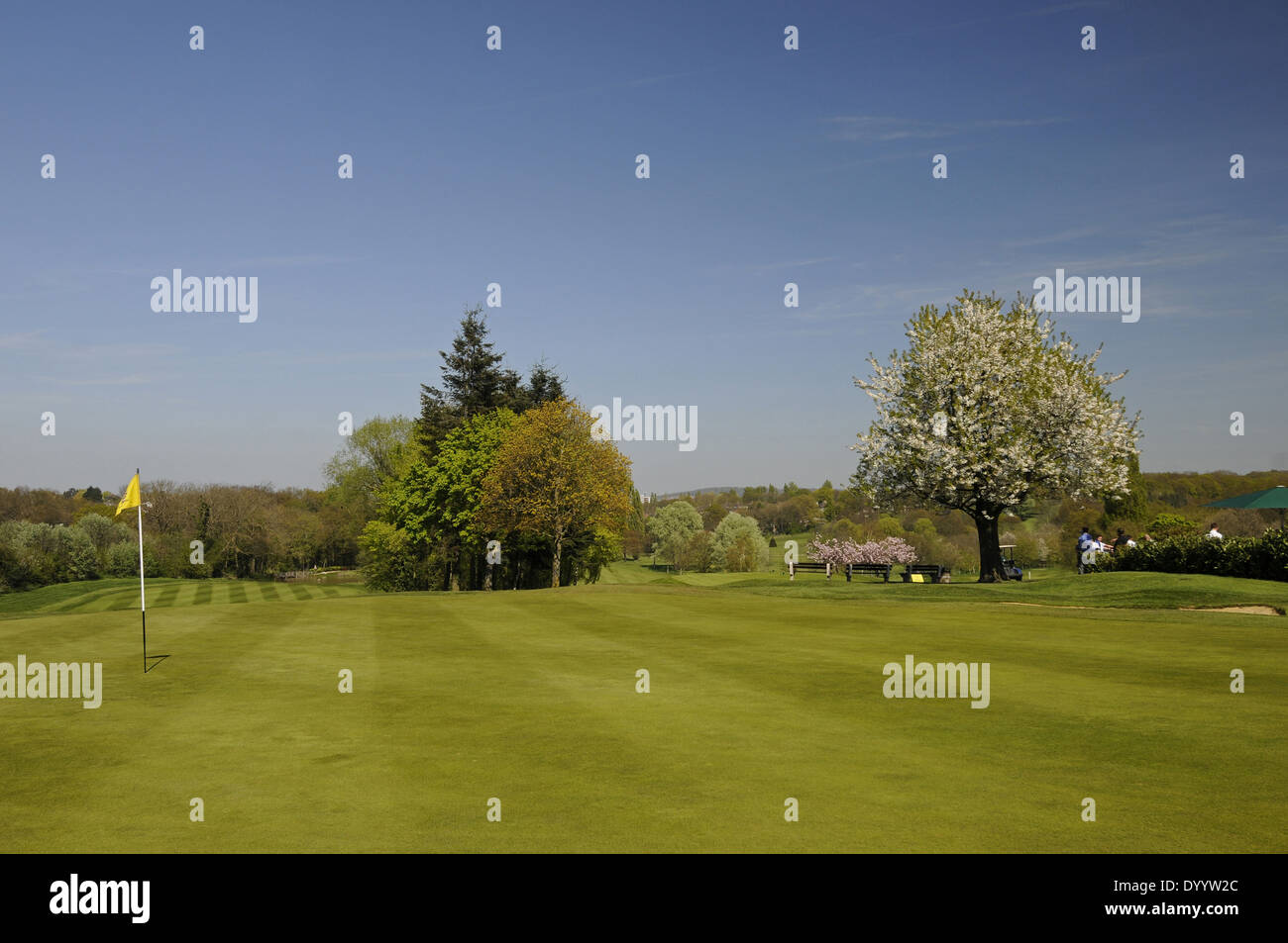 Spring Blossom and 18th Hole on West Course Sundridge Park Golf Club Bromley Kent England Stock Photo