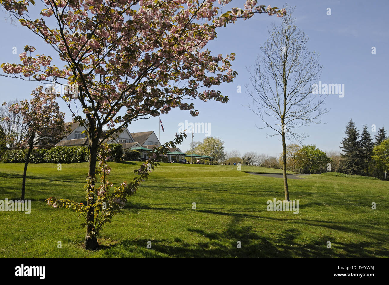Spring Blossom and the Clubhouse Sundridge Park Golf Club Bromley Kent England Stock Photo