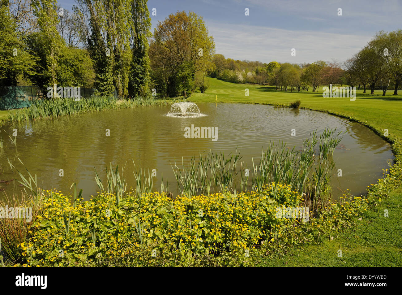 Spring colours and Pond on the 18th Hole on East Course Sundridge Park Golf Club Bromley Kent England Stock Photo