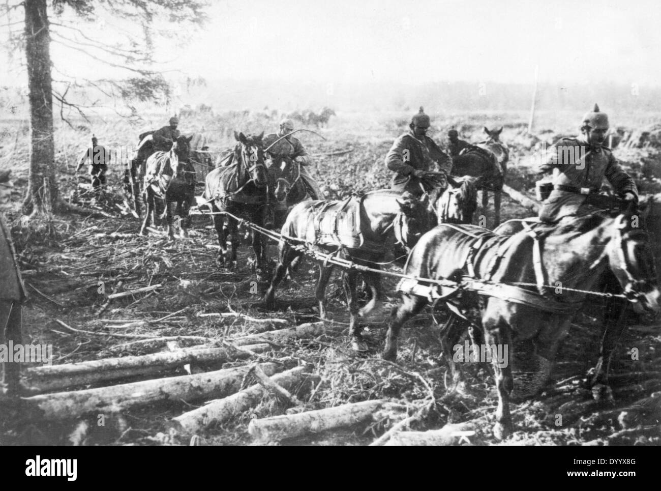 German ammunition train on the march to the Eastern Front, 1917 Stock ...
