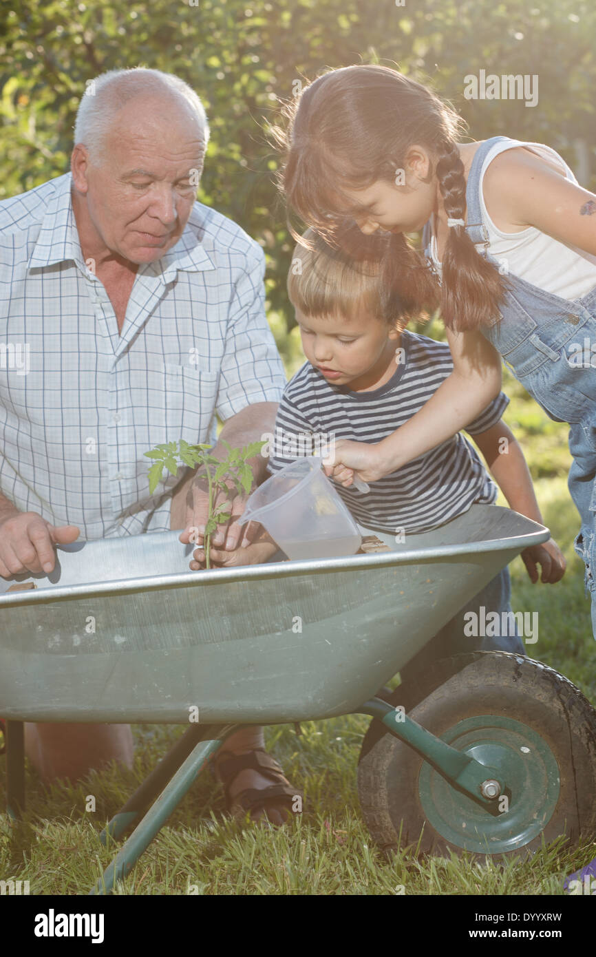 children is helping her Grandfather in the garden Stock Photo