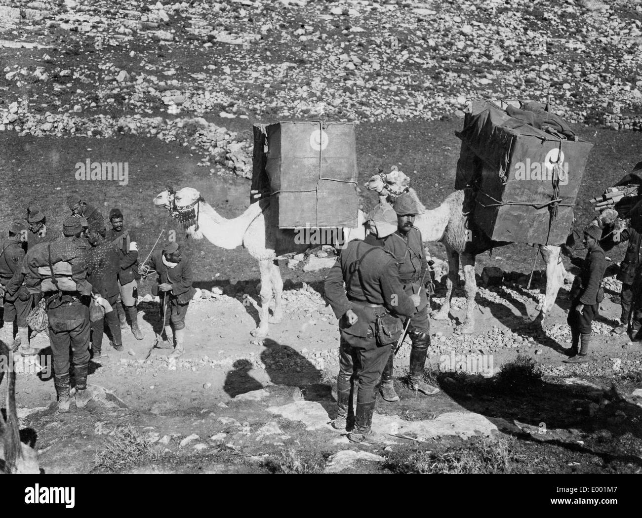Turkish camel caravan in World War I, 1917 Stock Photo