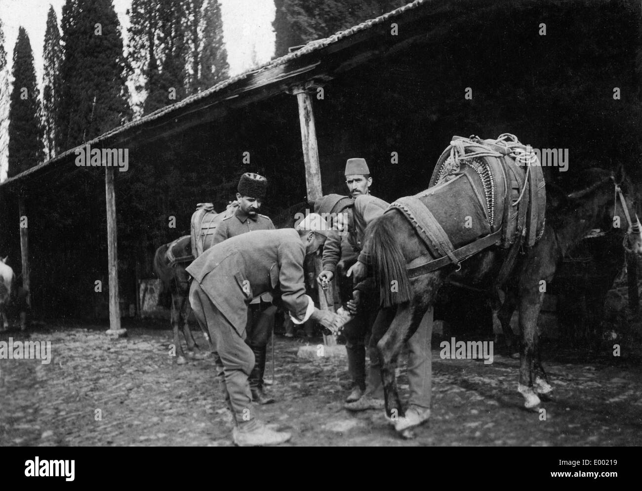 Horse of the Turkish troops in World War I Stock Photo