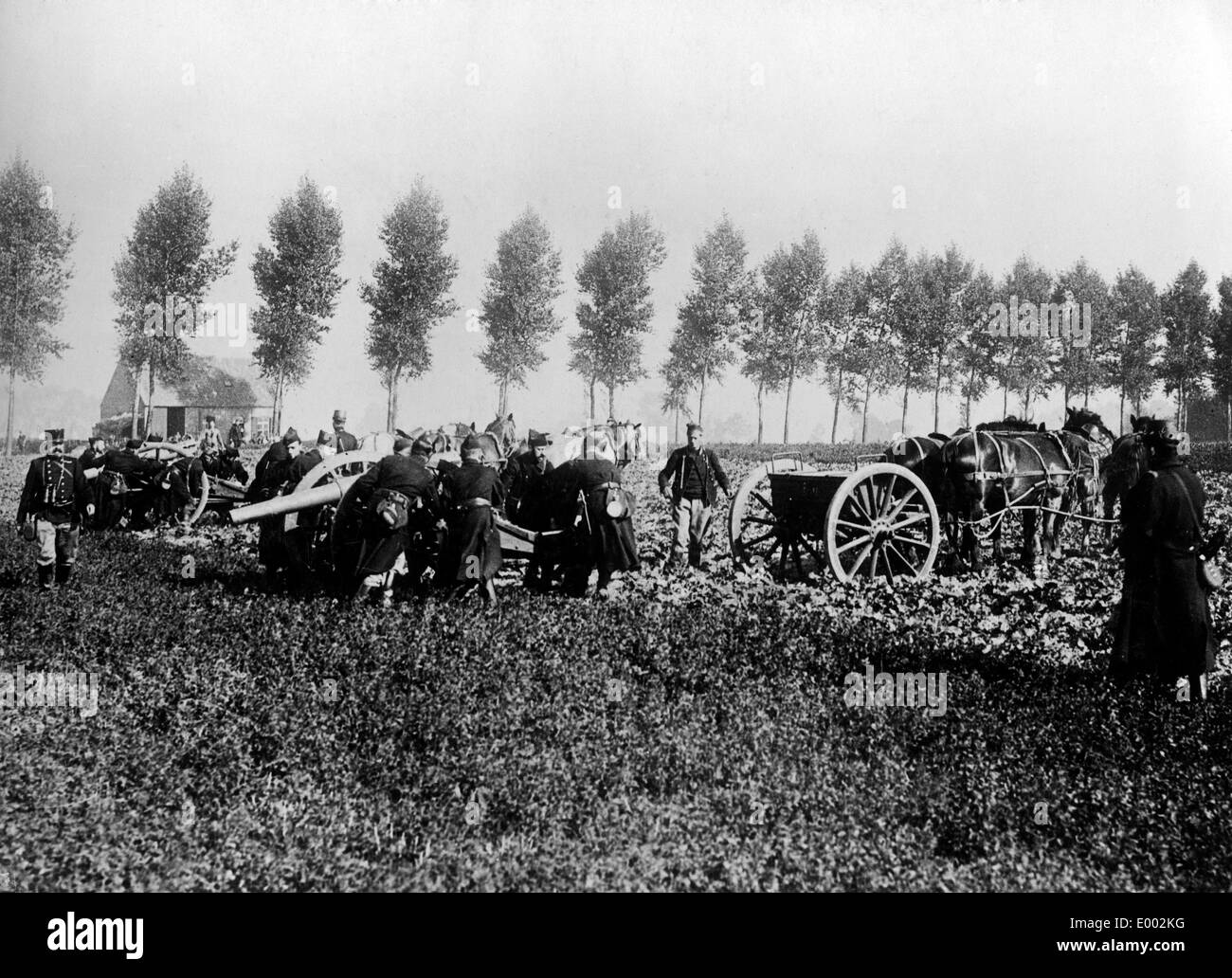 Belgian artillery gets into position, 1914 Stock Photo