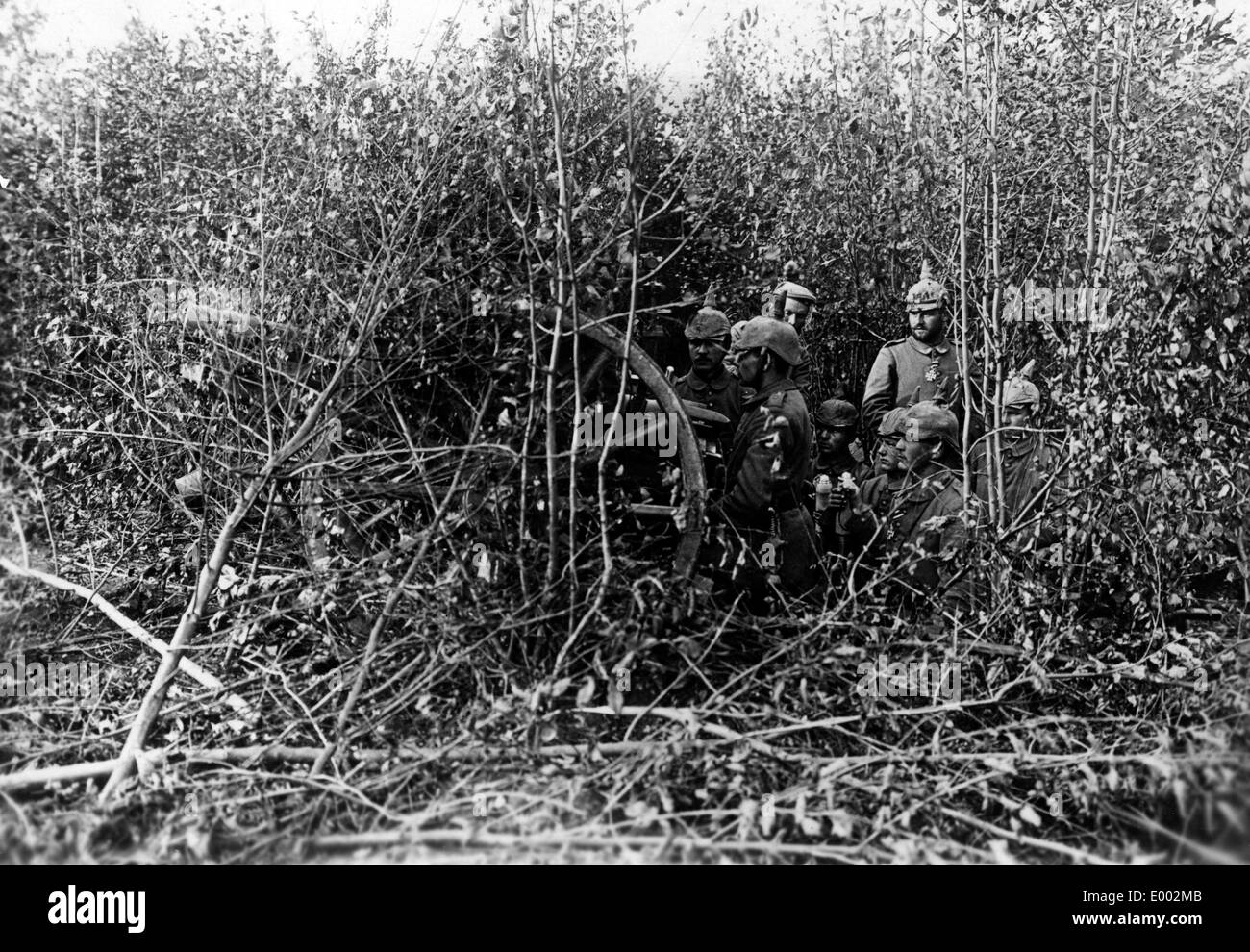 German artillery on the Western Front, 1914 Stock Photo