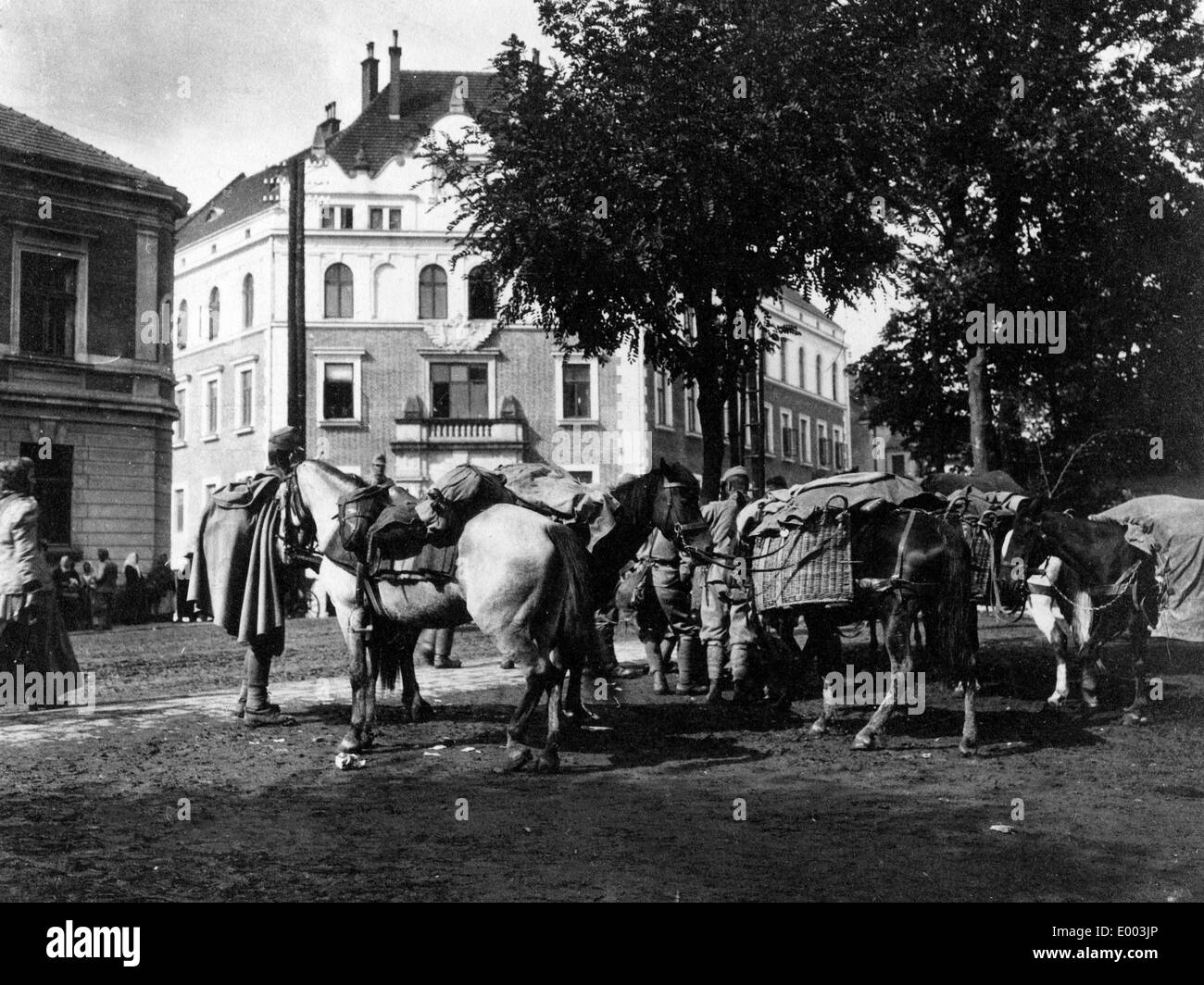 Supplies transport in Galicia, 1914 Stock Photo