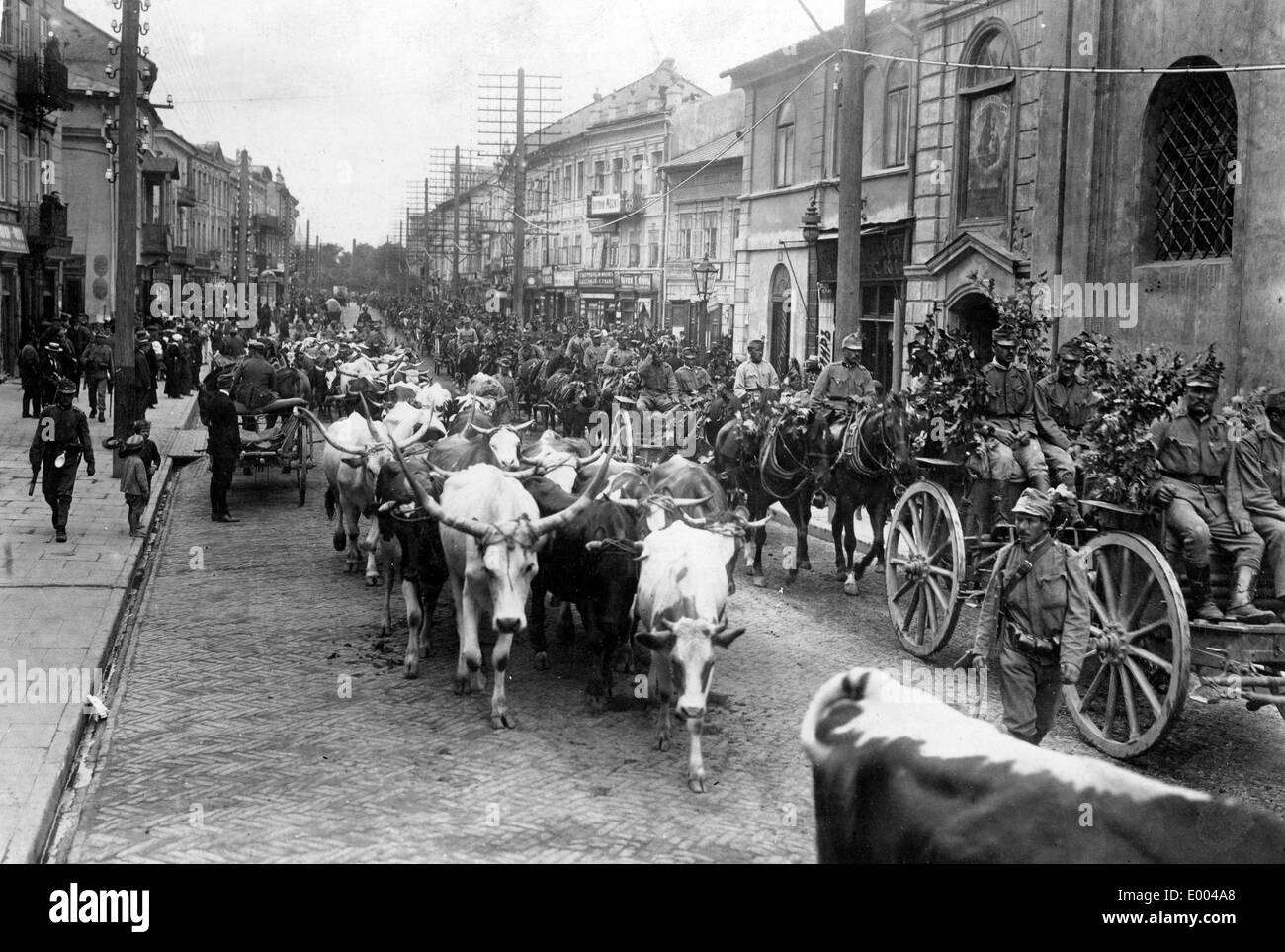 Austro-Hungarian artillerymen in Lublin, 1915 Stock Photo