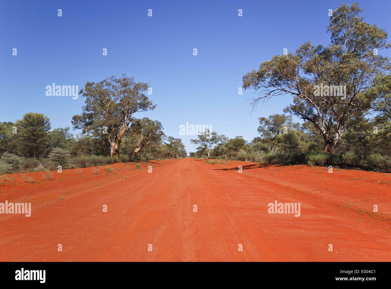 Unsealed road in Gundabooka National Park, Australia; New South Wales; Stock Photo