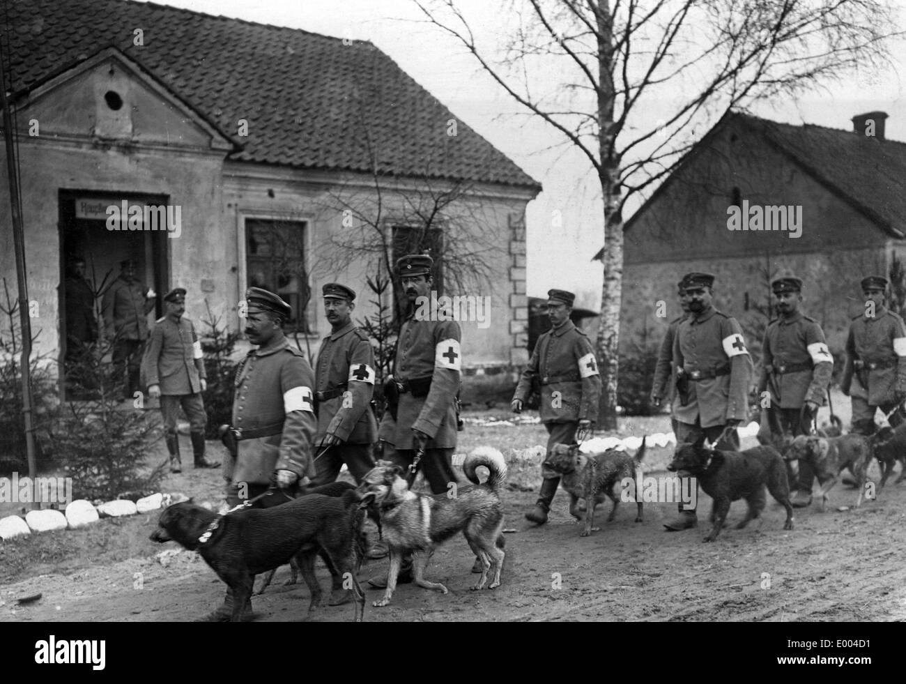 German medical orderlies with their dogs, 1915 Stock Photo