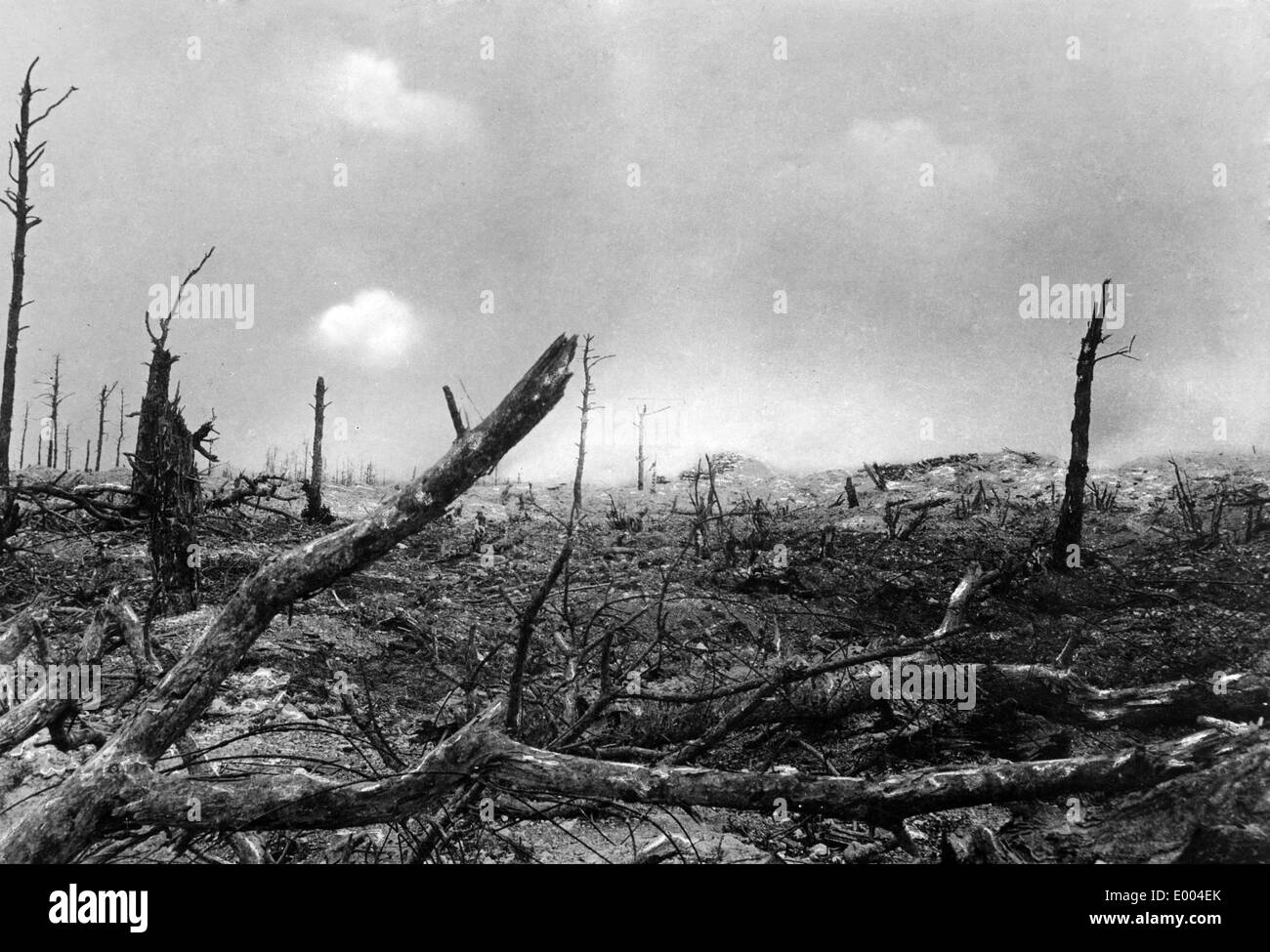 Sabol forest during the First World War, 1915 Stock Photo