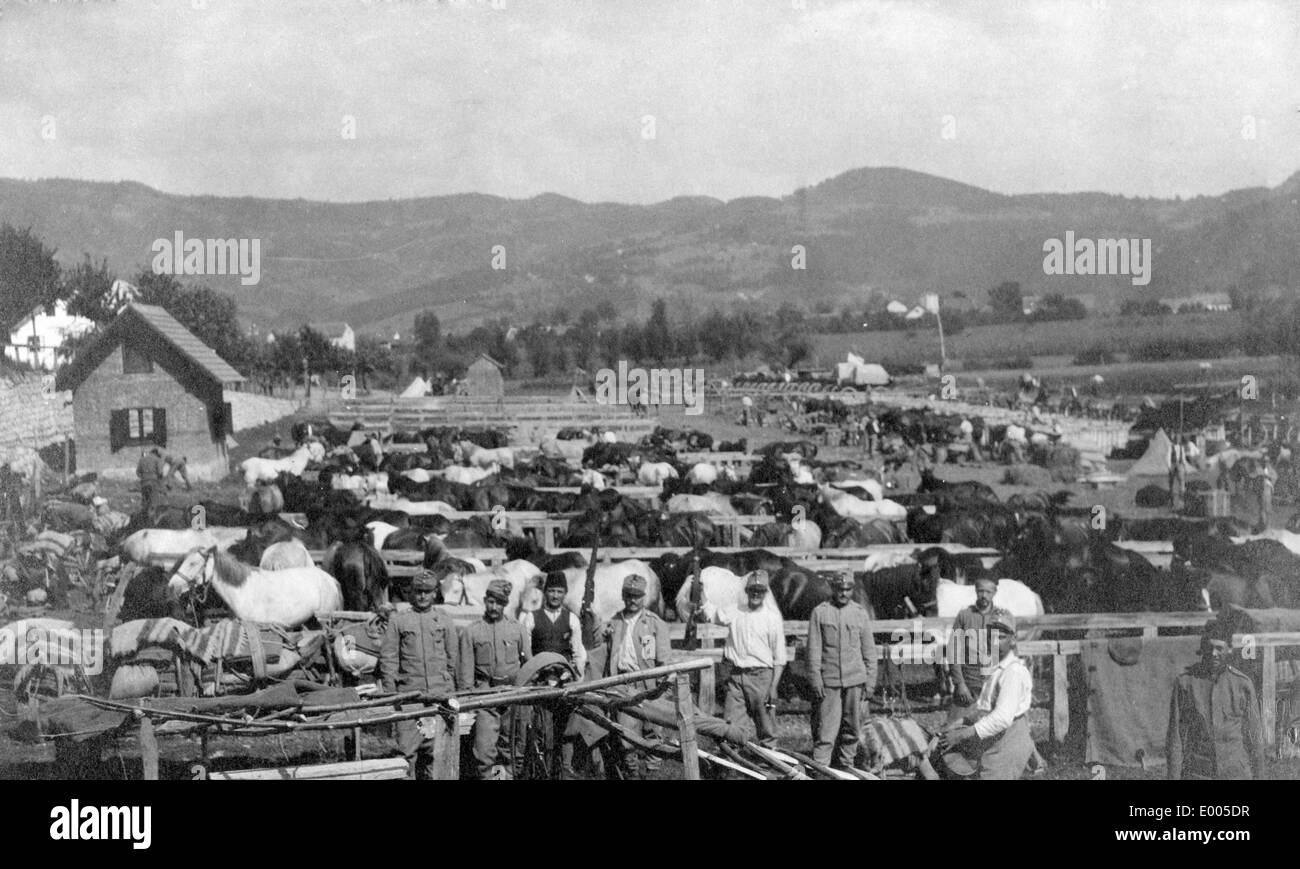 Troop camp in Bosnia, 1914 Stock Photo