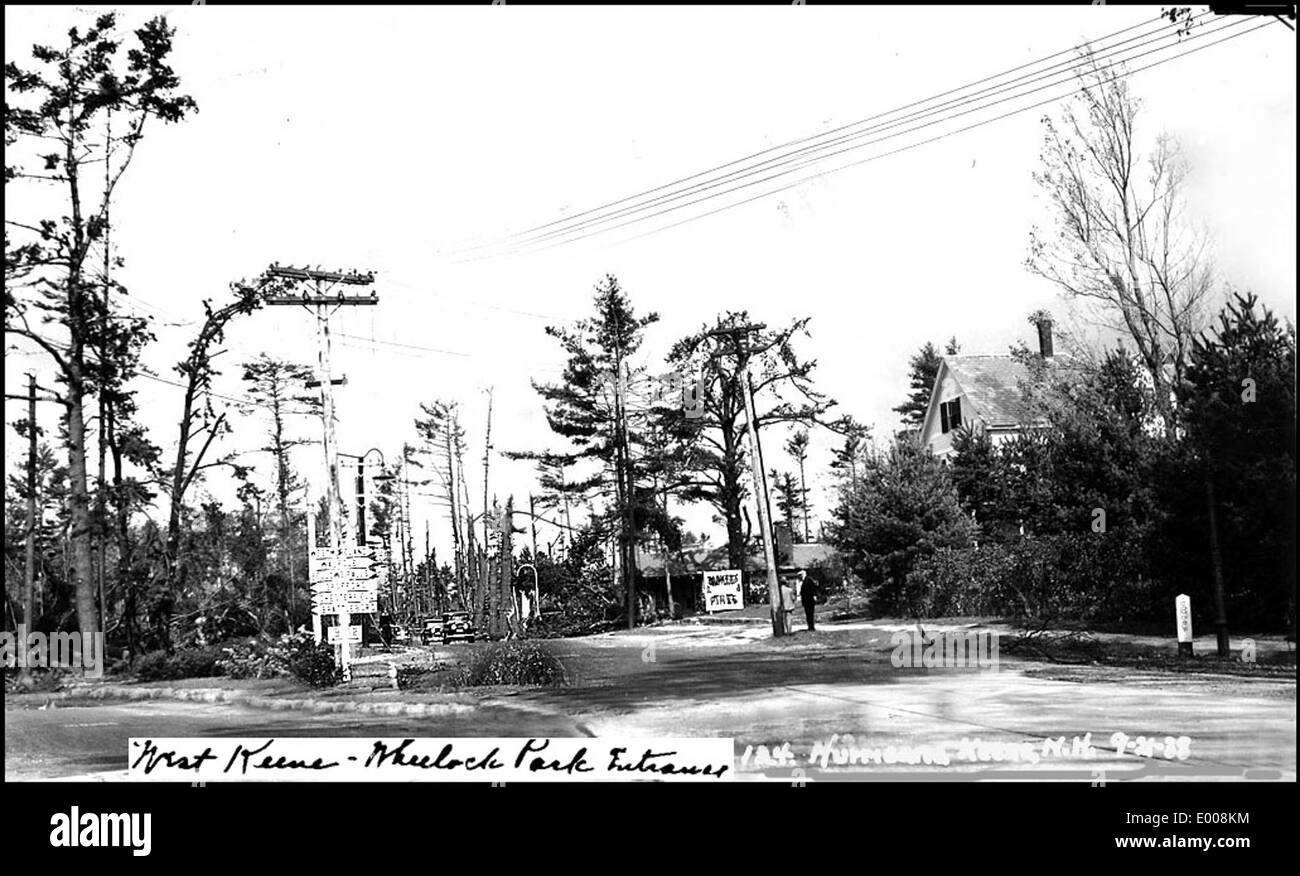 Hurricane and Flood of 1938, Keene NH Wheelock Park Entrance in West