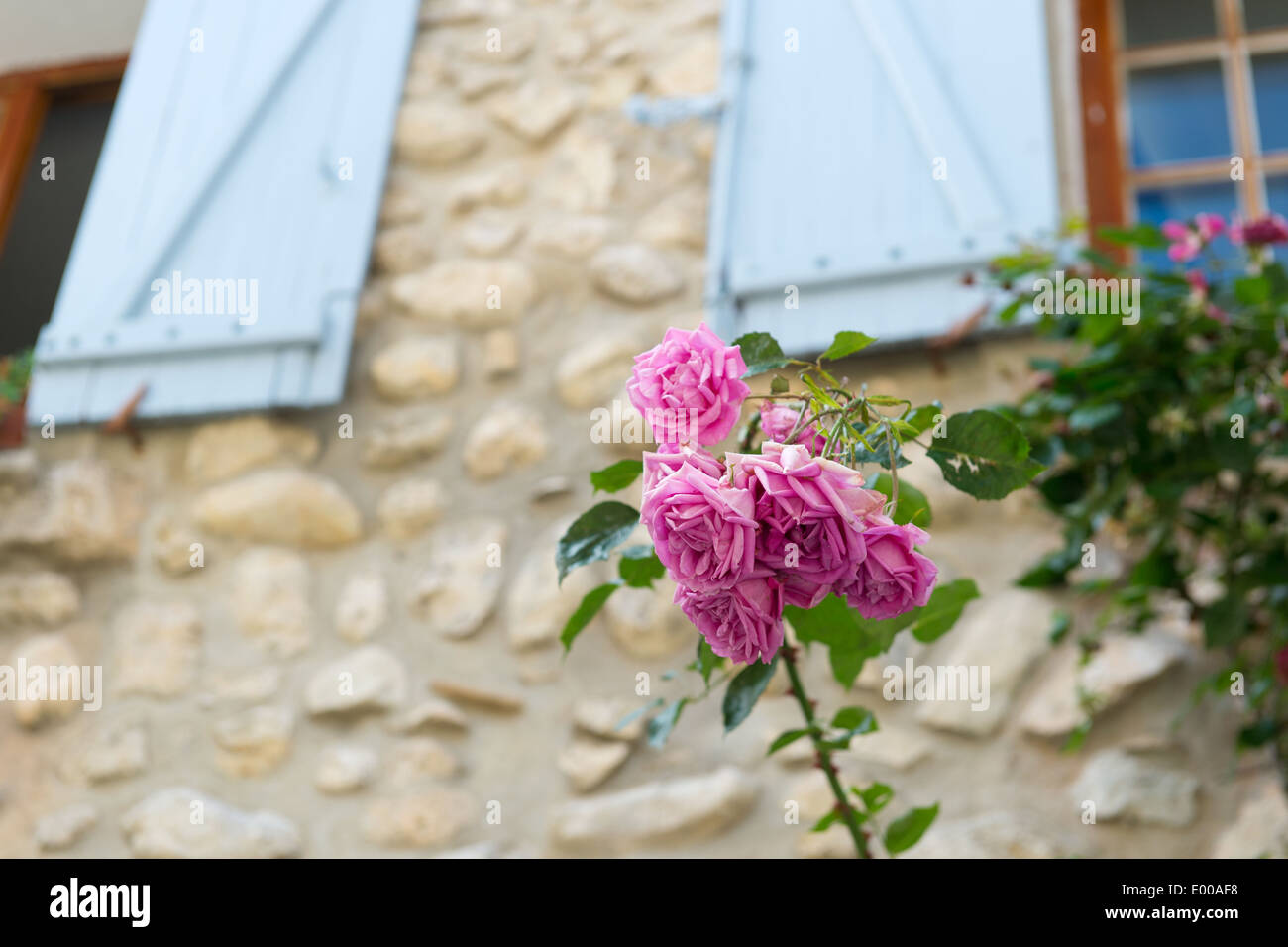 Typical french house roses hi-res stock photography and images - Alamy