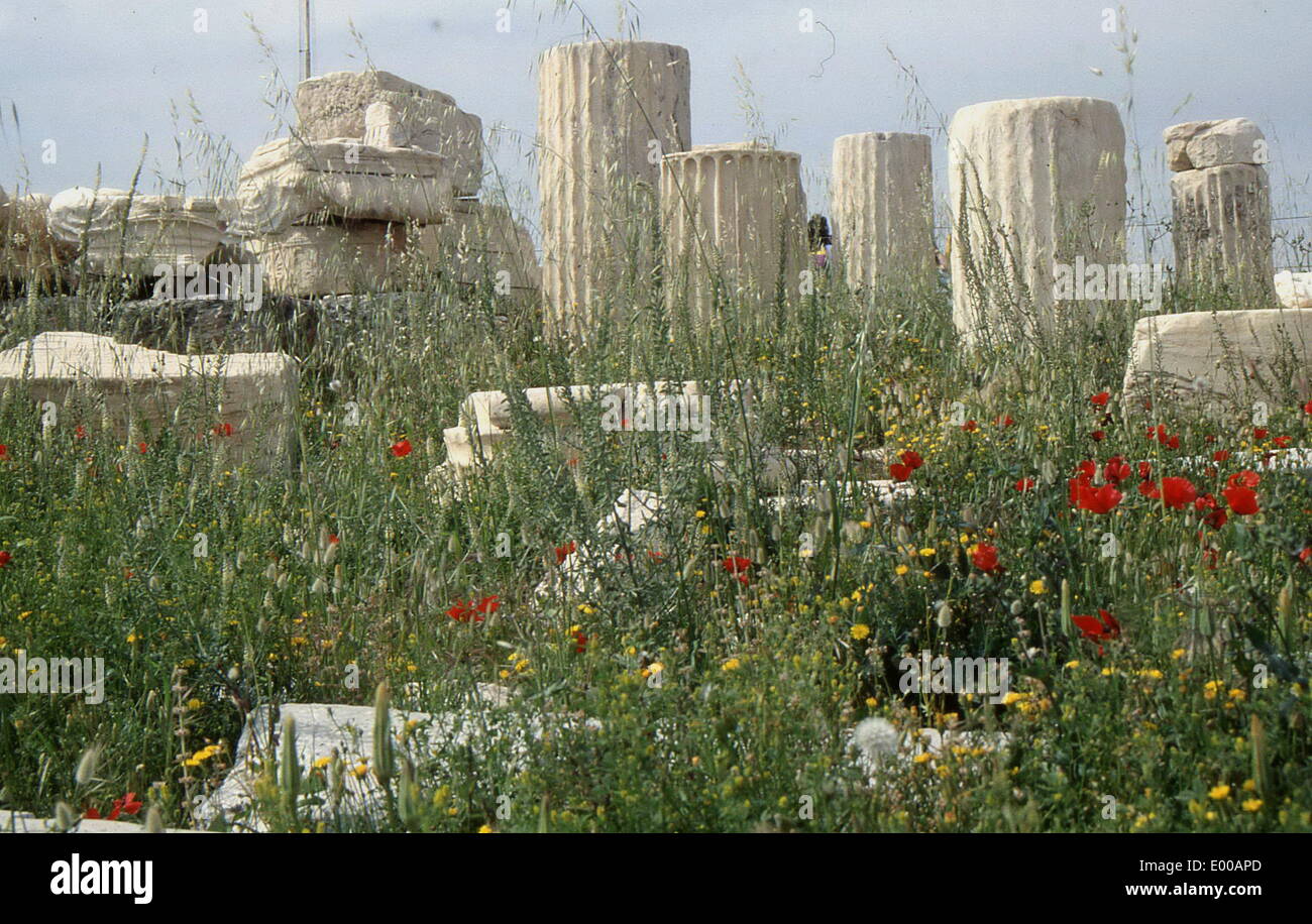 Columns on the Acropolis, Athens, 1989 Stock Photo - Alamy