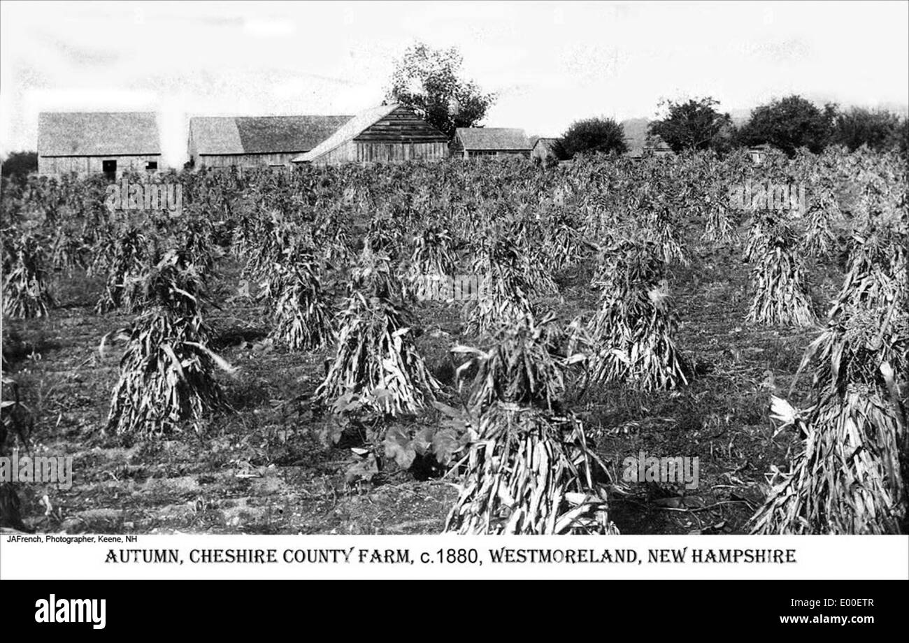 Cheshire County Farm in Westmoreland New Hampshire Stock Photo Alamy