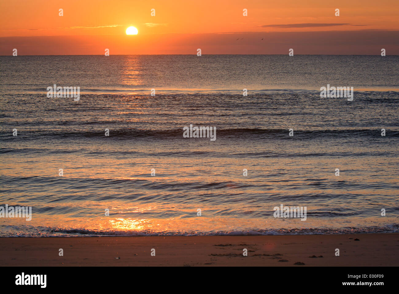 Brilliant sunrise, Assateague Island National Seashore, Maryland, USA Stock Photo