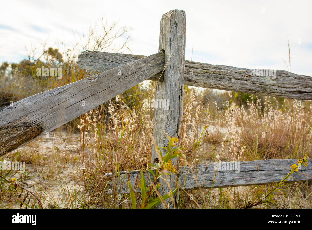 Split rail fence, Maryland end, Assateague Island National Seashore, USA. Stock Photo
