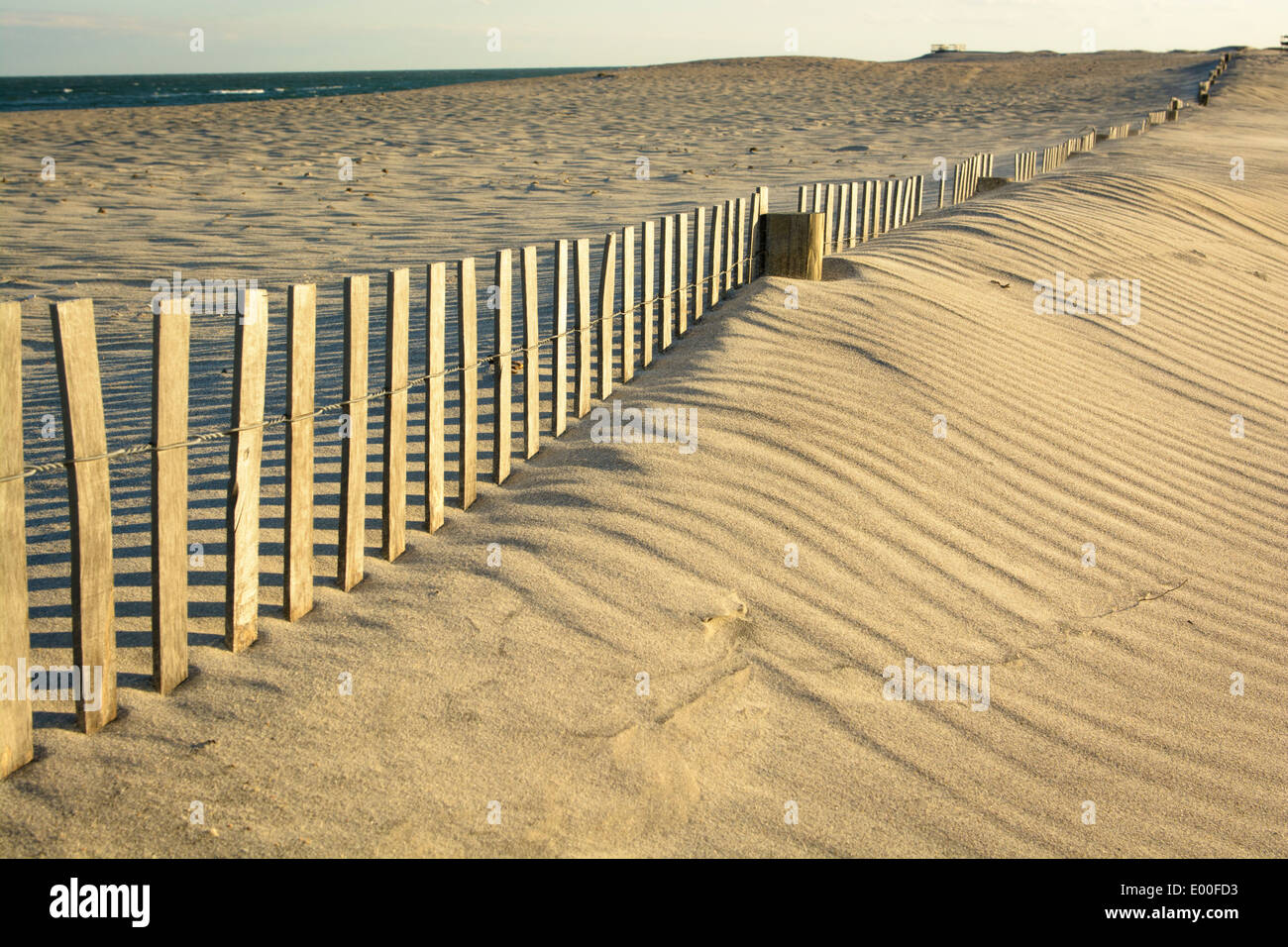 Sand dune erosion control Assateague Island National Seashore. Stock Photo