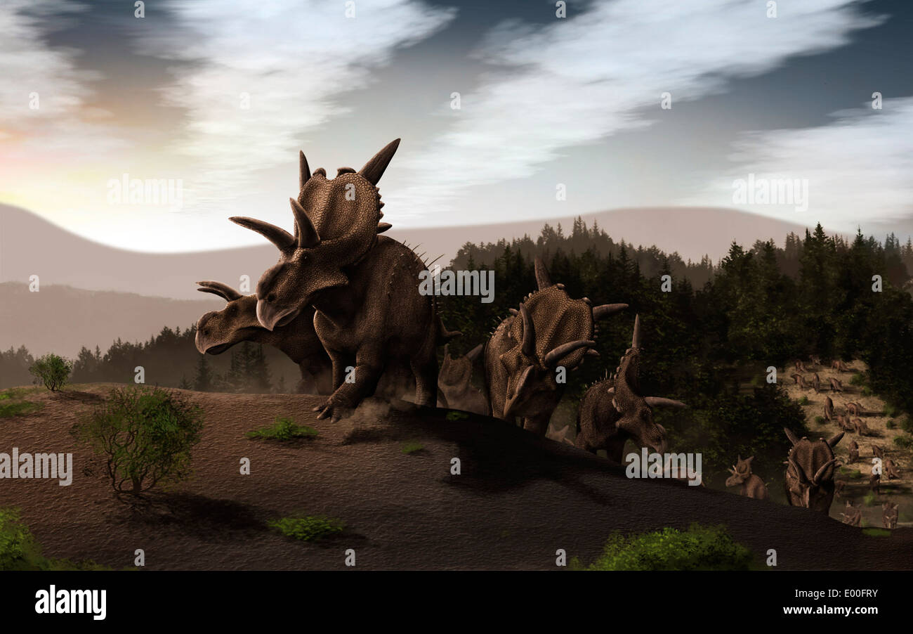 Herd of Xenoceratops foremostensis, ceratopsid dinosaurs known from the Late Cretaceous of Alberta, Canada. Stock Photo