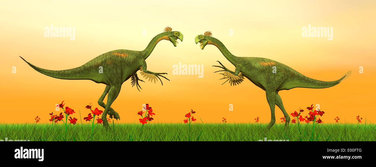Two Gigantoraptor dinosaurs fighting on green grass by sunset. Stock Photo
