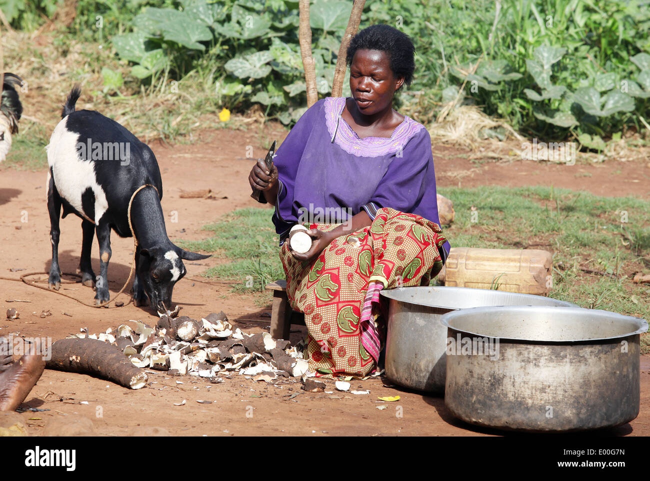 A woman prepares food in a rural area of the Lira district in northern Uganda. Stock Photo