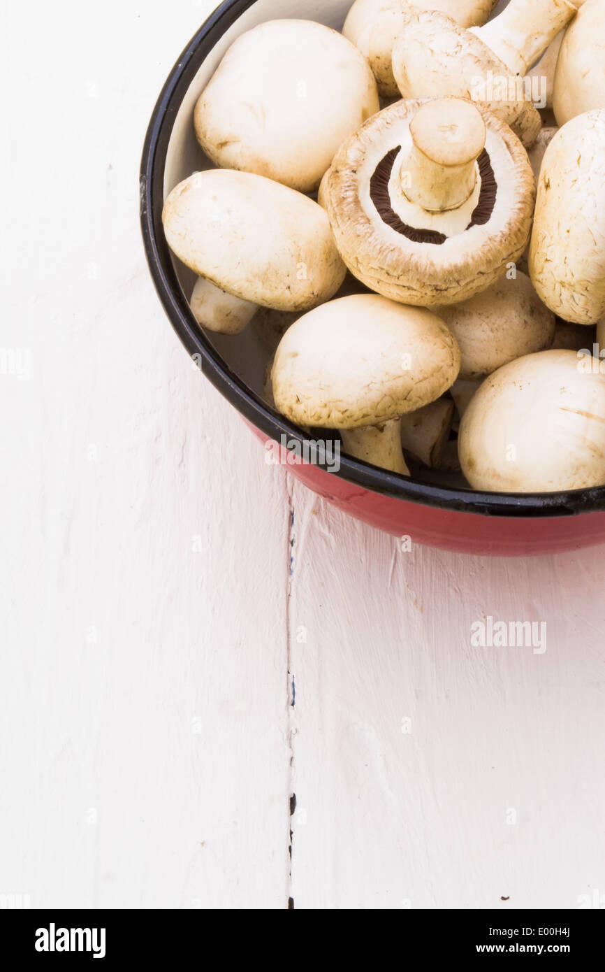 A red bowl full of button mushrrooms/champignons on the right hand side of the image on a white background. Stock Photo