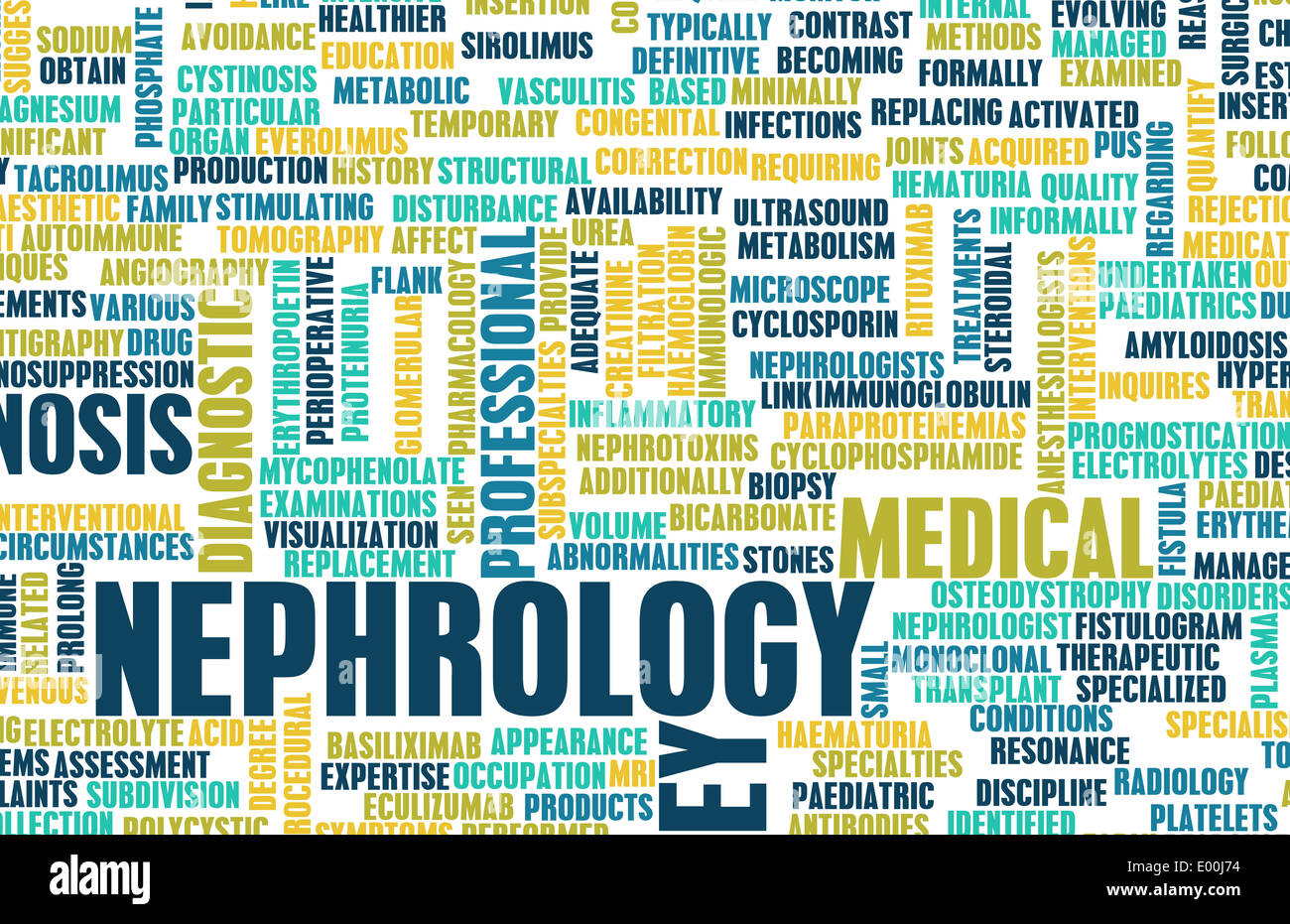 Nephrology or Nephrologist Medical Field of Science Art Stock Photo