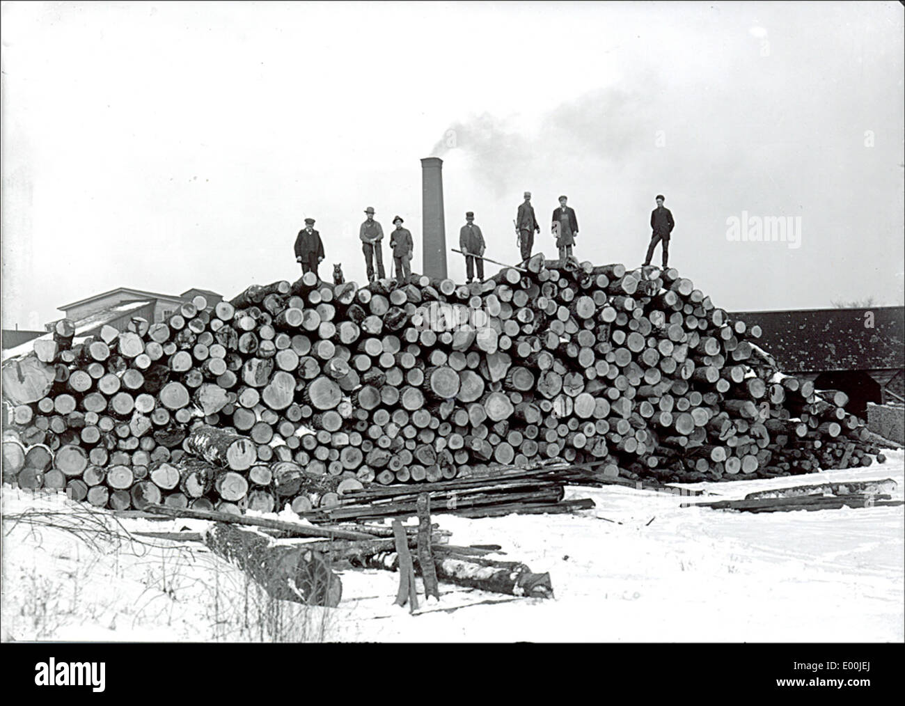 Loggingyard hires stock photography and images Alamy
