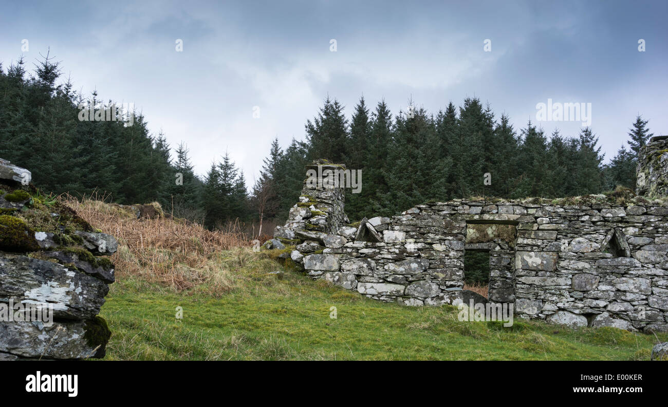 Haunting remains of Arichonan Township, a Cleared village in the Highlands of Scotland. Stock Photo