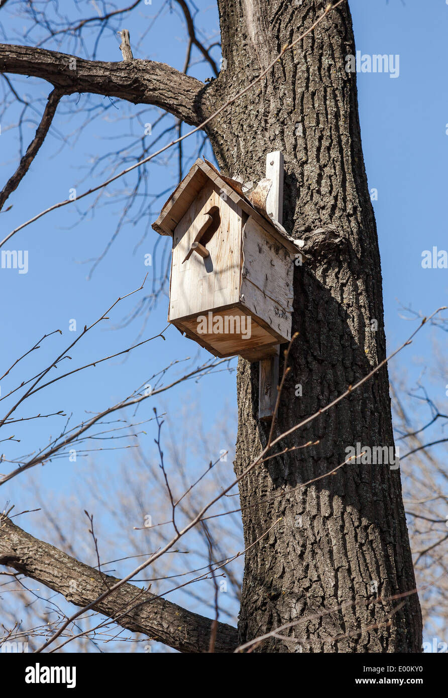 Big nesting hi-res stock photography and images - Alamy