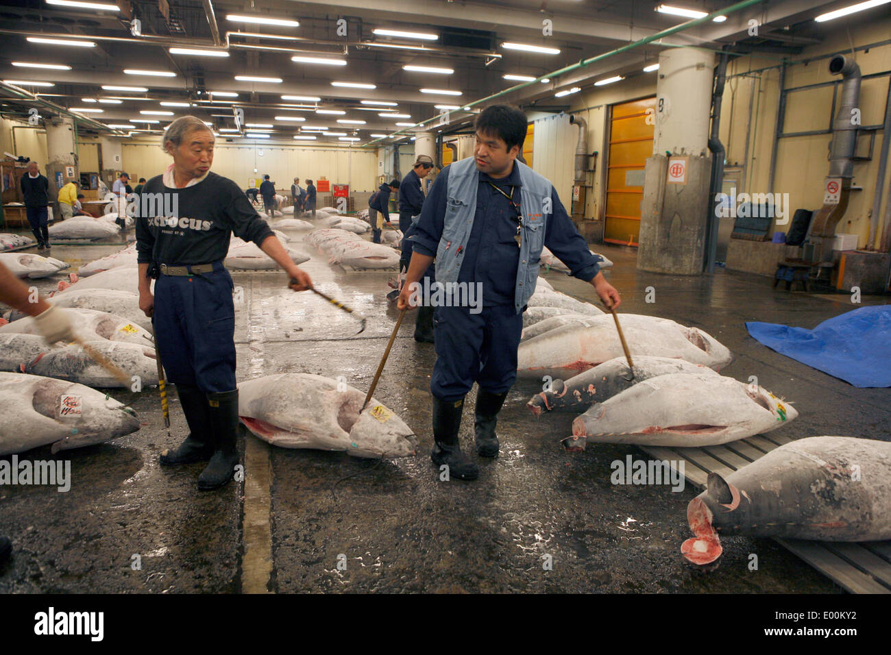 The Tokyo Metropolitan Central Wholesale Market, commonly known as the Tsukiji Market, is the largest wholesale fish and seafood Stock Photo