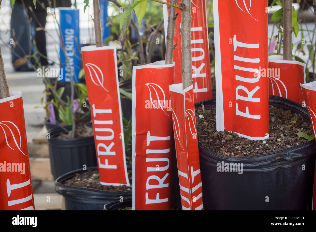 New Yorkers at the Urban Garden Center in East Harlem in New York Stock Photo Alamy