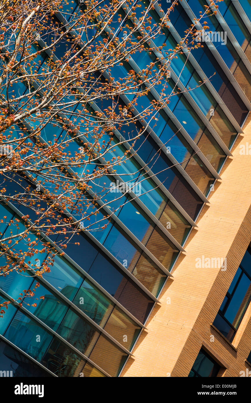 Abstract image of a building on the campus of the University of British Columbia, Vancouver, Canada Stock Photo