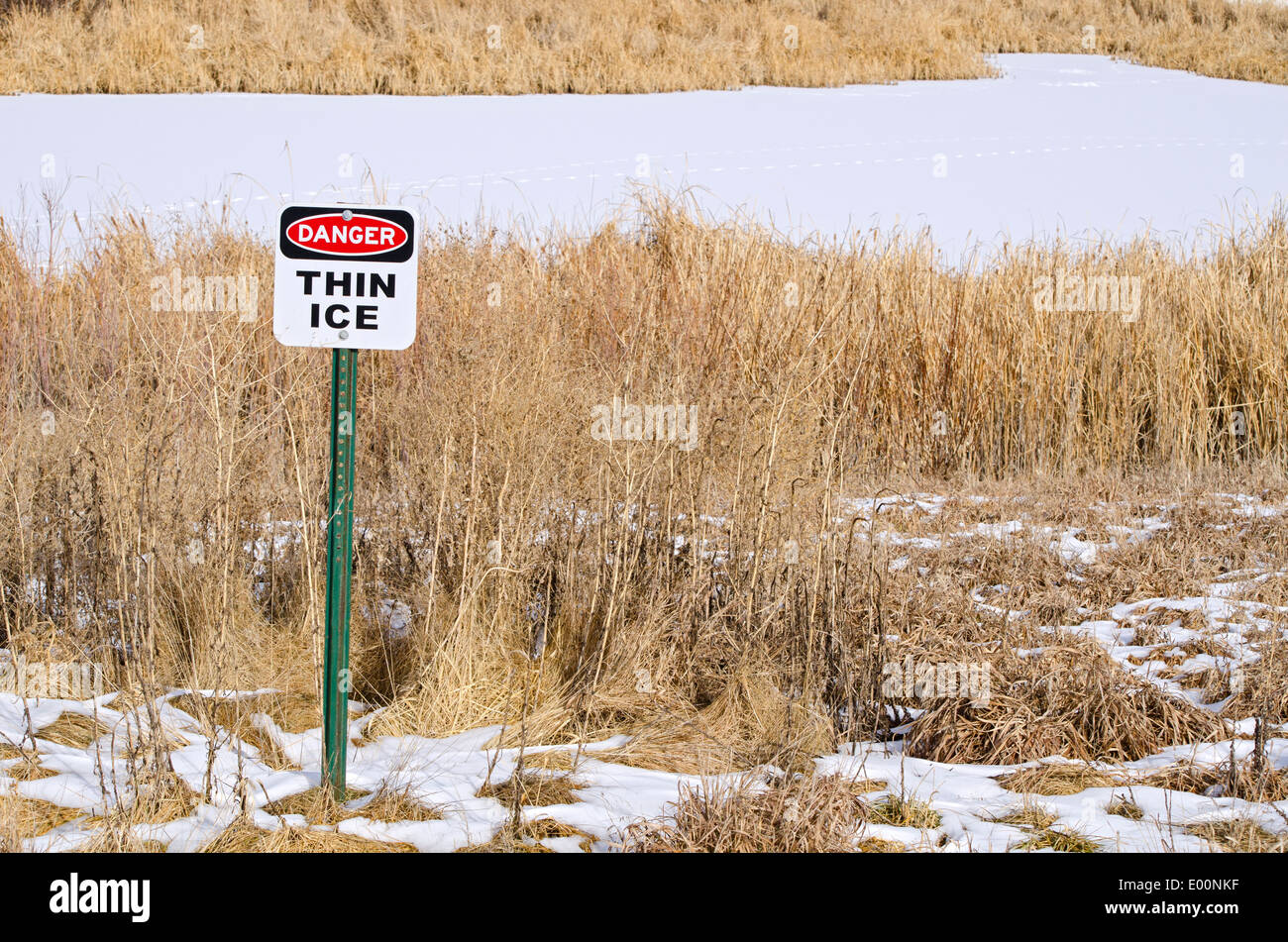 Danger thin ice warning sign near frozen pond in winter, Aurora Colorado US. Stock Photo