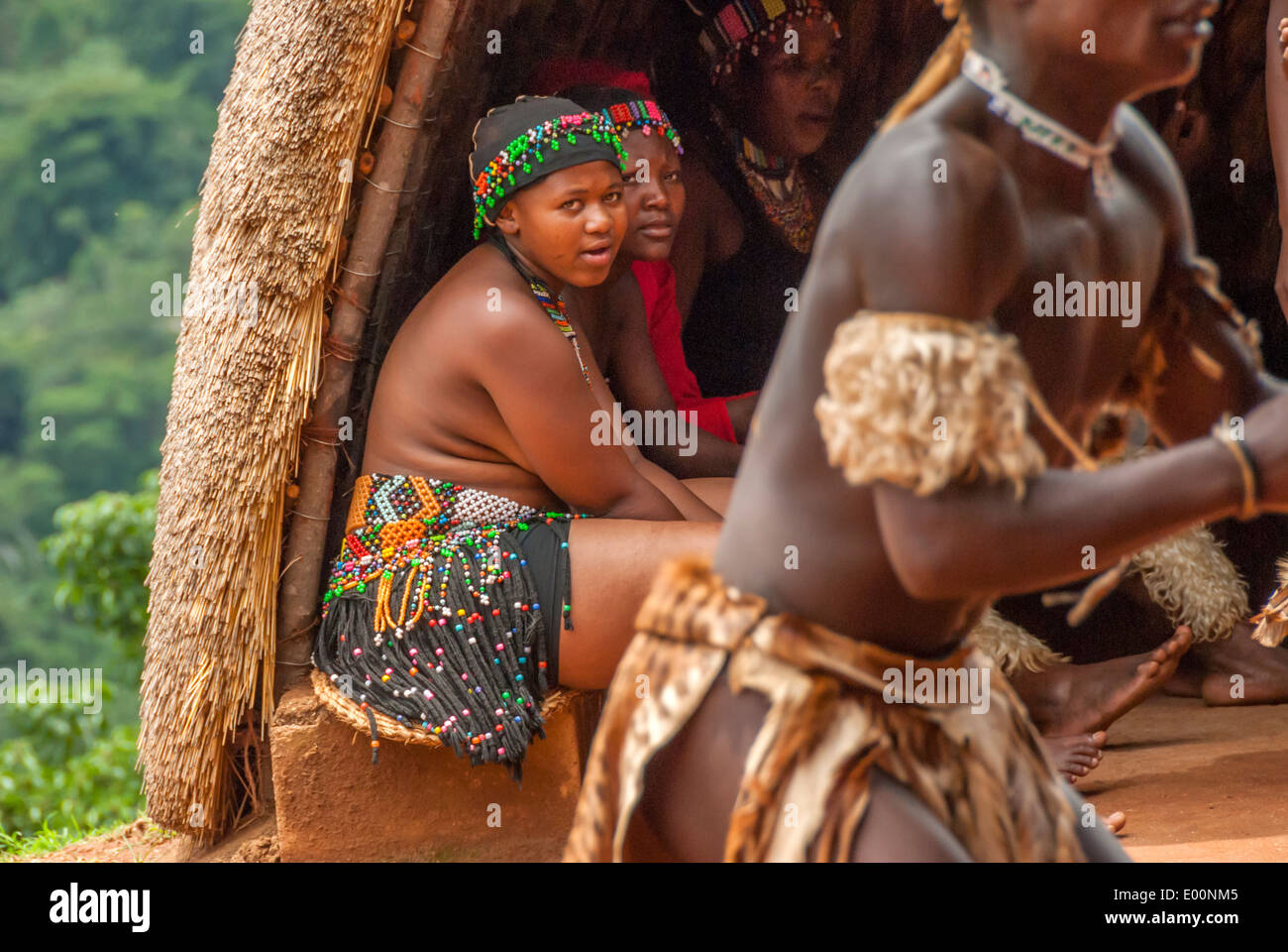 Zulu tribe male and a female in traditional dress performing for the public at Phezulu Village Park in Kwazulu Natal South Africa Stock Photo