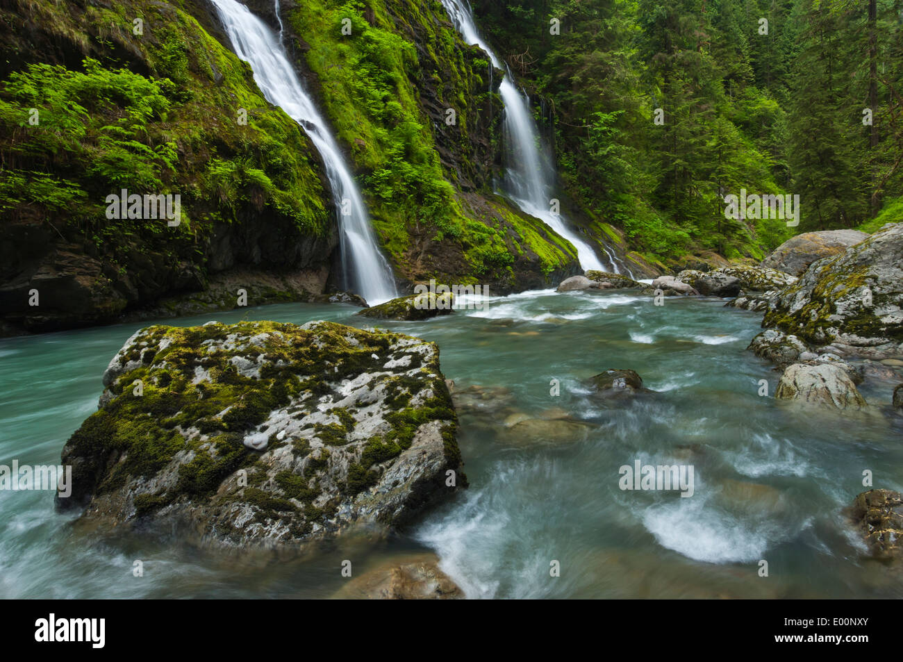 Waterfall alongside the Boulder River, Boulder River Wilderness, Mount Baker-Snoqualmie National Forest, Washington, USA Stock Photo