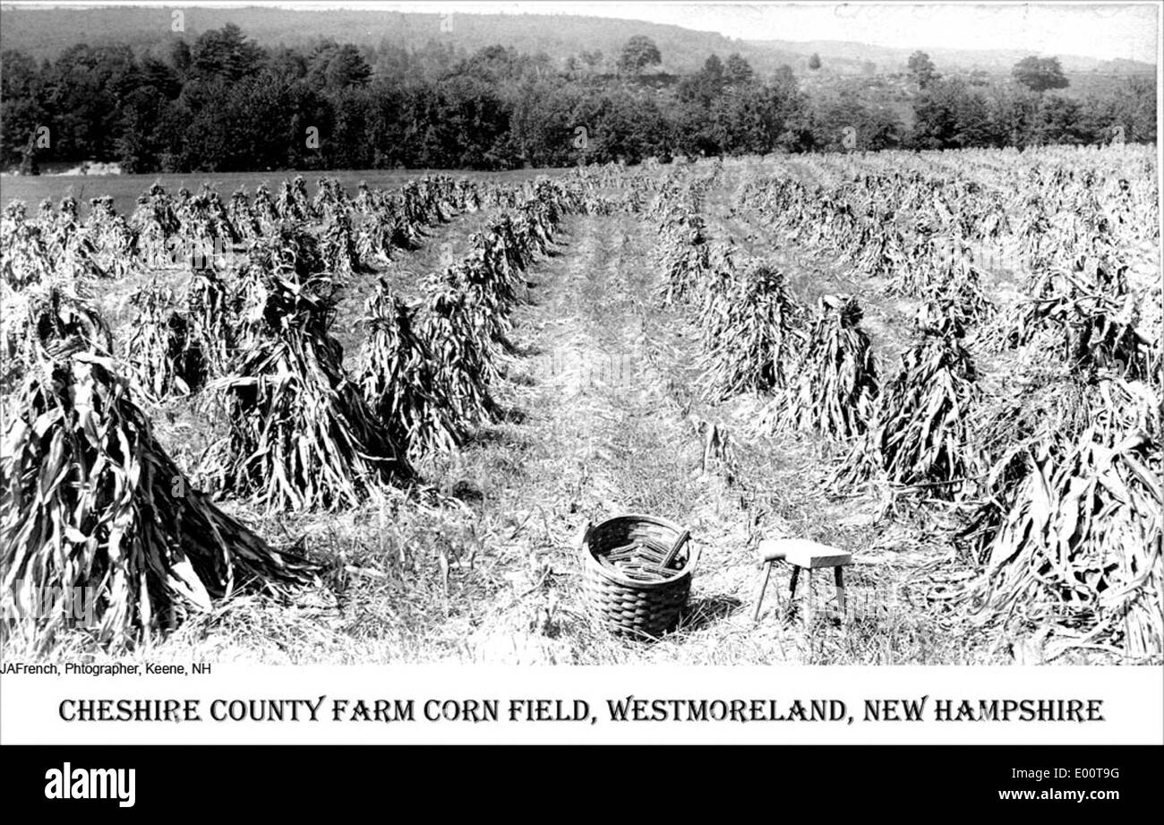 Cheshirecountyfarm hires stock photography and images Alamy