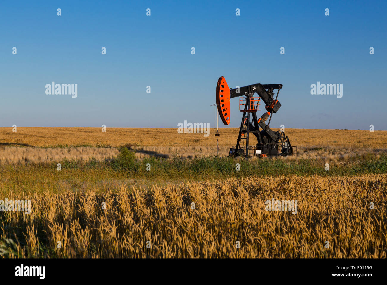 An oil production pump jack in the Bakken play oil field deposits near Stoughton, Saskatchewan, Canada. Stock Photo
