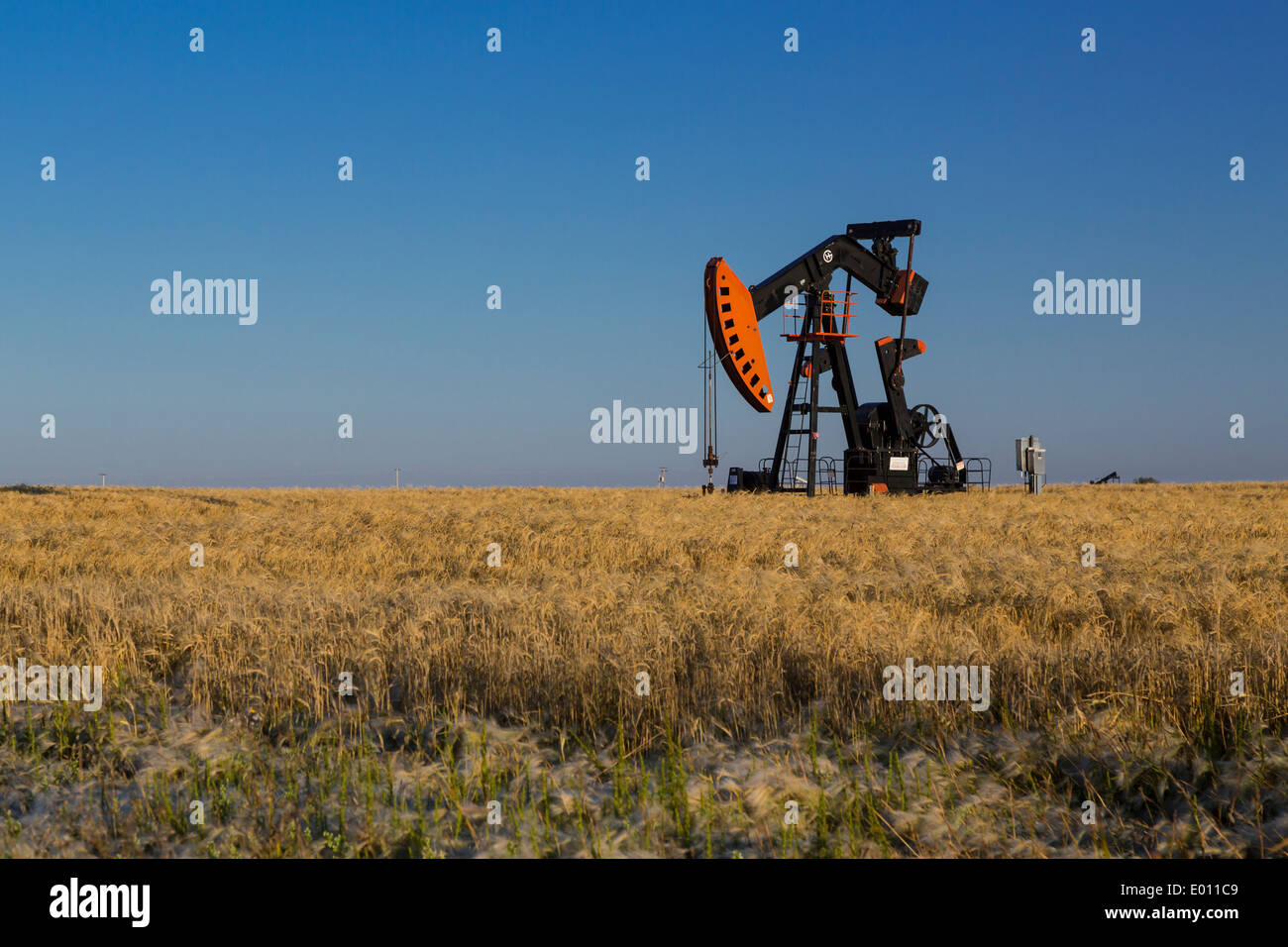 An oil production pump jack in the Bakken play oil field deposits near Stoughton, Saskatchewan, Canada. Stock Photo