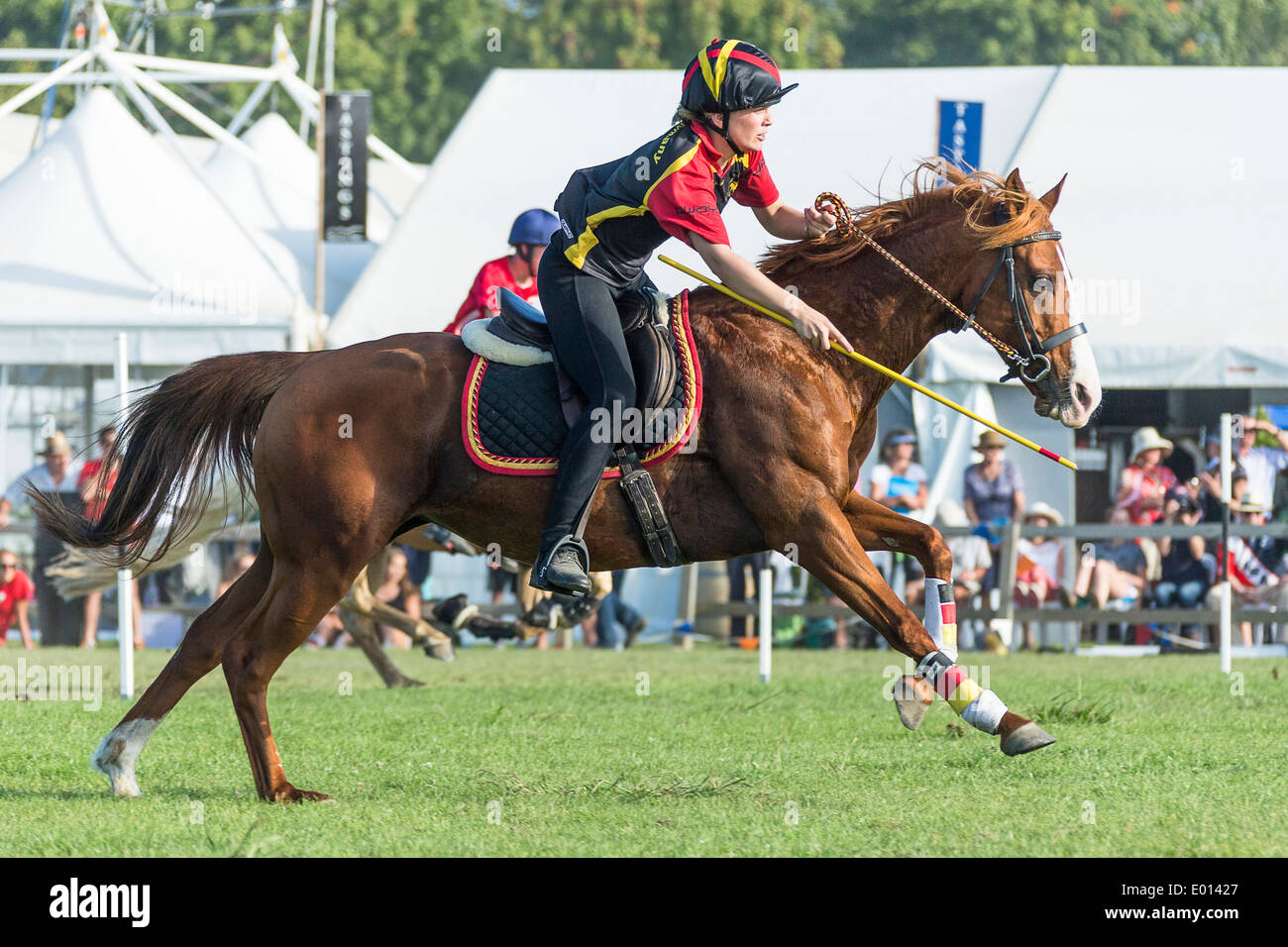 Mounted games hires stock photography and images Alamy